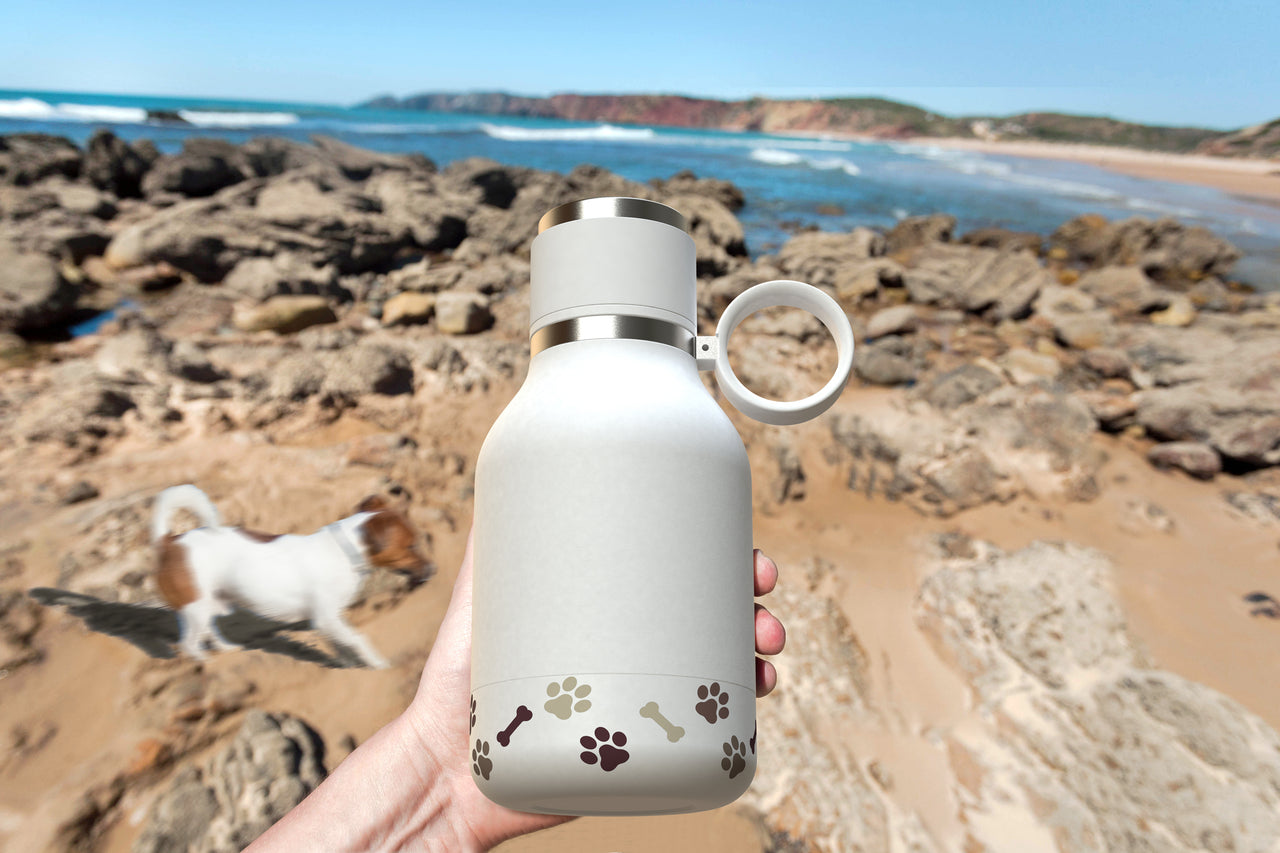 975ml Stainless Steel Travel Water Bottle with Dog Bowl