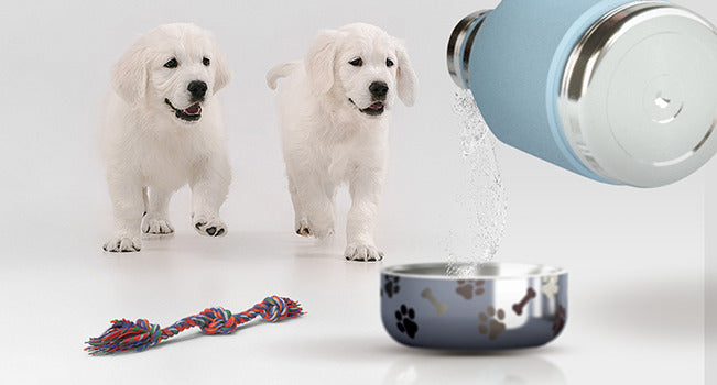 975ml Stainless Steel Travel Water Bottle with Dog Bowl