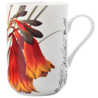 Royal Botanic Gardens Australian Botanics Bells 300ml Mug